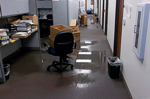 How Does The Flood Restoration Process Work in Mission Hills?
