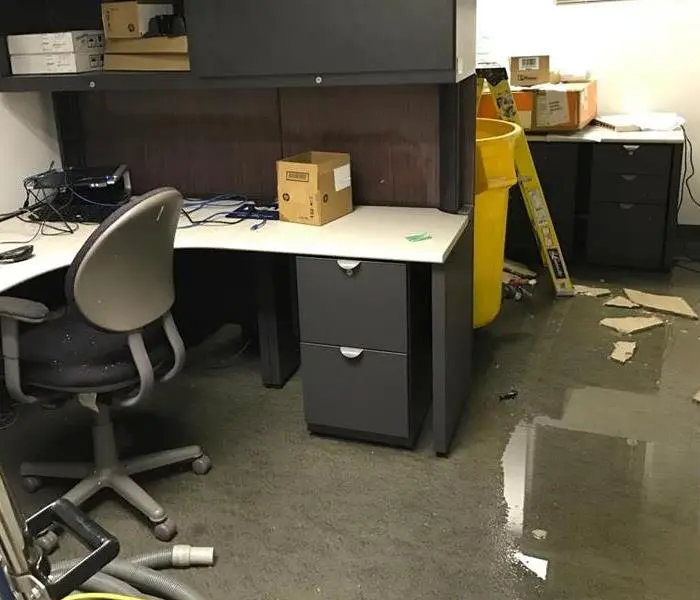 What’s Following After Flood Restoration in Mission Hills?